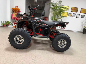 Electric Beach Buggy
