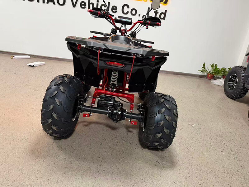 Electric Beach Buggy